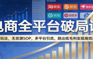 电商全平台破局课：全域玩法，无货源SOP，多平台引流，跳出低毛利实现高效盈利