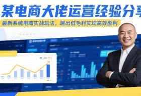 某电商大佬运营经验分享，最新系统电商实战玩法，跳出低毛利实现高效盈利