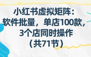（17271期）小红书虚拟矩阵：软件批量发笔记，单店100款，3个店同时操作（共71节）