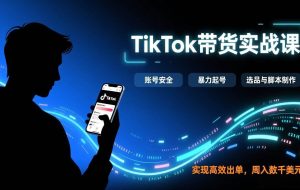 （17278期）TikTok带货实战课，涵盖账号安全、暴力起号、选品与脚本制作，实现高效出单，周入数千美元