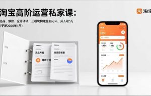 （17280期）淘宝高阶运营私家课：选品、爆款、全店动销，三模块构建盈利闭环，月入破5万（更新26年1月）