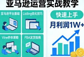 亚马逊运营实战教学，亚马逊平台+Listing优化+Vine秒杀+FBA发货等，快速上手，实现店铺月利润1W