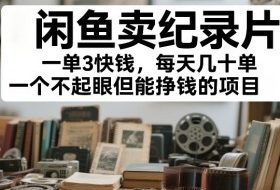 闲鱼卖纪录片，一单3快钱，每天几十单，一个不起眼但能挣钱的项目【揭秘】