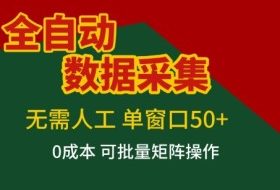全自动数据采集项目，无需人工，单窗口可达50+收益，操作简单无难度，一个人也能轻松实现矩阵【揭秘】