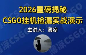 CSGO游戏挂机游戏搬砖最新升级，普通小白一部手机可日入300+当天见结果，支持验证