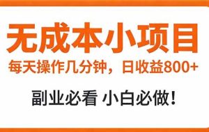 （17307期）无成本小项目 每天操作几分钟，真实日收益800+ 副业必看 小白必做！