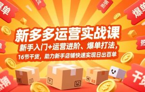 （17342期）拼多多运营实战课，新手入门+运营进阶、爆单打法，16节干货，助力新手店铺快速实现日出百单
