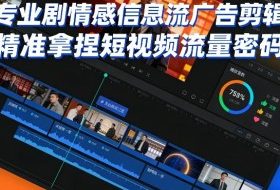专业剧情感信息流广告剪辑，精准拿捏短视频流量密码