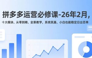 （17355期）拼多多运营必修课-26年2月，十大模块、从零到精、全景教学，系统筑基，小白也能稳定日出百单