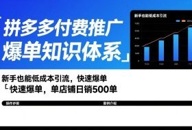 拼多多付费推广爆单知识体系，新手也能低成本引流，快速爆单，单店铺日销500单