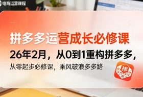拼多多运营成长必修课26年2月，从0到1重构拼多多，从零起步必修课，乘风破浪多多路