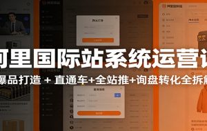 阿里国际站运营实战课：从店铺布局到TOP10旺铺，数据化运营，推广全攻略