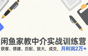 （17379期）闲鱼家教中介实战训练营，获客、搭建、匹配、放大，成交，月利润2万+