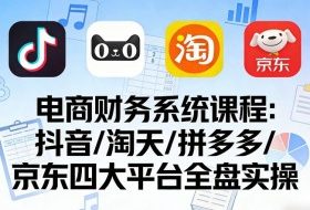 电商财务系统课程，覆盖抖音、淘天、拼多多、京东四大主流平台的全盘实操