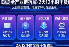 AI短剧全产业链拆解，2天12小时全程干货输出，彻底的了解AI短剧是一门什么生意