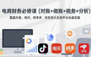（17390期）电商财务必修课（对账+做账+税务+分析）覆盖抖音、淘天、拼多多、京东四大主流平台全盘实操