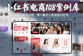 小红书电商108案例库，百W利润分析，带一部分人先冲进小红书【文档】