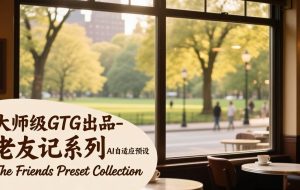 （17403期）大师级GTG出品-老友记系列AI自适应预设The Friends Preset Collection