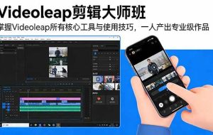 (17421期)Videoleap剪辑大师班:掌握Videoleap所有核心工具与使用技巧,一人产出专业级作品