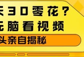 1天30零花？无脑看视频，大佬亲自揭秘