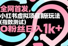 全网首发，小红书虚拟项目新玩法（指数测试），0粉丝日入1k+，整个玩法完整拆解！