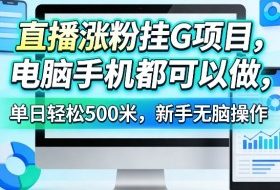 直播涨粉挂G项目，电脑手机都可以做，单日轻松500米，新手无脑操作【揭秘】