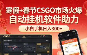 寒假+春节CSGO市场火爆，配合游戏自动挂机软件，小白只用一台手机也可日入300+