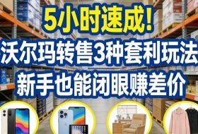 5小时速成!沃尔玛转售3种套利玩法,新手也能闭眼賺差价