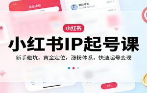 小红书IP起号课：新手避坑，黄金定位，涨粉体系，快速起号变现