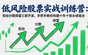 （17487期）低风险股票实战训练营：低估分散排雷三箭齐发，手把手教你构建十年十倍永续组合