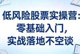 低风险股票实操营：零基础入门，实战落地不空谈