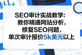 SEO审计实战教学：教你精通网站分析，修复SEO问题，单次审计报价5k美元以上