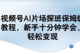视频号AI片场探班保姆级教程，新手十分钟学会，轻松变现
