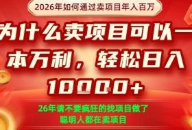 一单净利润1K+，26年想年入100个W，死磕卖项目就够了【揭秘】