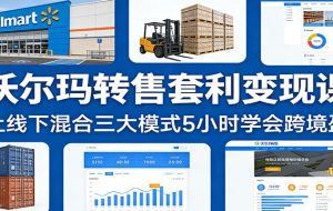 沃尔玛转售套利变现课：线上线下混合三大模式5小时学会跨境盈利