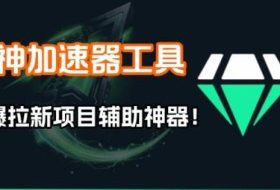 雷神加速器项目模拟器_无脑1分钟1条视频矩阵_疯狂报单打法【焚诀】