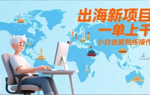（17534期）出海新项目，一单上千，小白也能熟练操作