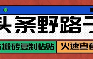 头条单账号日收益300+野路子玩法赛道，无脑搬砖复制粘贴，保姆级教程