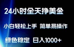 （17557期）24小时全天挣美金，小白轻松上手，简单易操作，绿色稳定，日入1000+