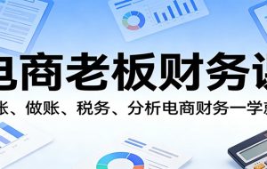 电商老板财务课：对账、做账、税务、分析电商财务一学就会