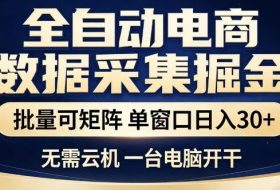 全自动电商数据集掘金，批量可矩阵，单窗口日入30+，无需云机，一台电脑开干【揭秘】