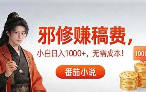 （17170期）茄小说赚稿费邪修玩法无需成本，日入1000+，超级简单！