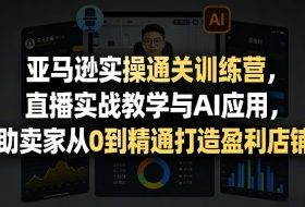 亚马逊实操通关训练营，直播实战教学与AI应用，助卖家从0到精通打造盈利店铺（更新3月）