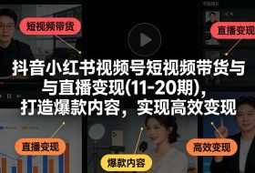 抖音小红书视频号短视频带货与直播变现(10-20期)，打造爆款内容，实现高效变现（更新）
