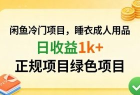 闲鱼冷门项目，情趣内衣成人用品，日收益1k+，正规项目绿色项目