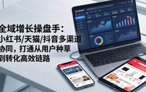 （17605期）全域增长操盘手：小红书/天猫/抖音多渠道协同，打通从用户种草到转化高效链路