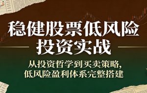 稳健股票低风险投资实战：从投资哲学到买卖策略，低风险盈利体系完整搭建