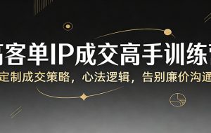 高客单IP成交高手训练营：定制成交策略，心法逻辑，告别廉价沟通