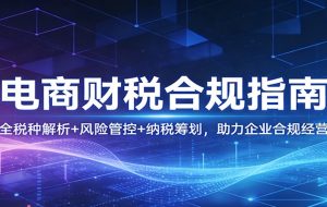 电商财税合规指南：全税种解析+风险管控+纳税筹划，助力企业合规经营