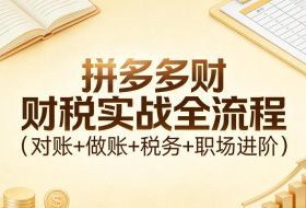 拼多多财税实战全流程（对账+做账+税务+职场进阶）